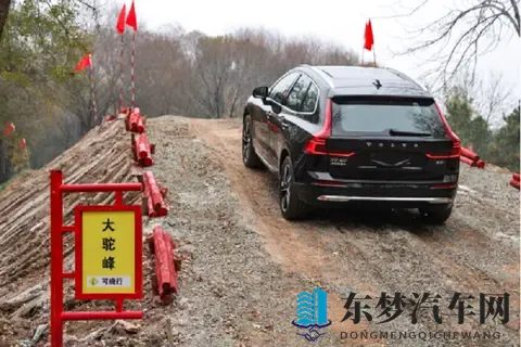 黄色下载：禁黄行动，严打非法下载行为-1