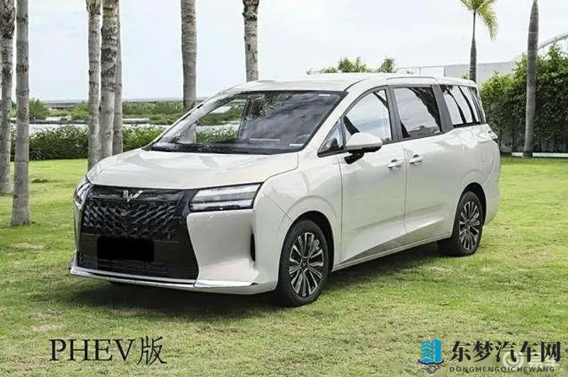 在线网站你们明白我的意思：汽车电商新纪元：揭秘购车养车服务奥秘-1