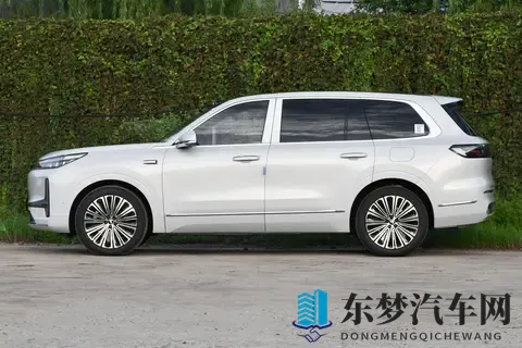 二孩家庭选六座 SUV：深蓝S09 和银河M9 ，为啥选前者呢？