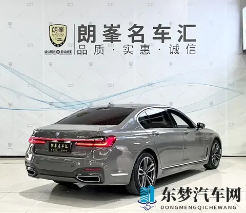 被绝伦老头连续侵犯的电影：新能源汽车革命：未来出行新纪元-1