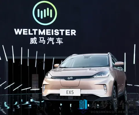 一折抢购威马的赚到了？威马汽车官宣“好事将近”-2