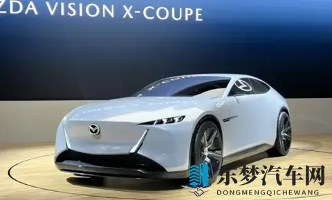 东京车展观察:熟悉又陌生的日系车与单刀赴会的国产力量-2