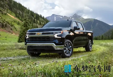 美国人对皮卡的痴迷，藏在这四个字里-2