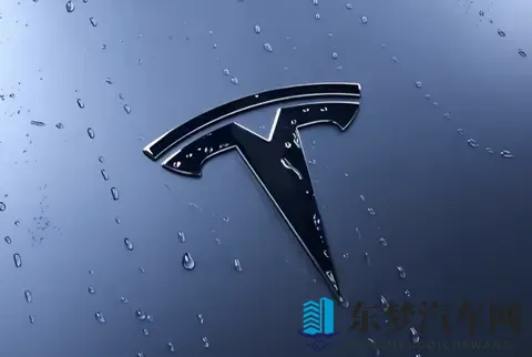 特斯拉成简配“鲶鱼”,中国品牌如何应对?-2