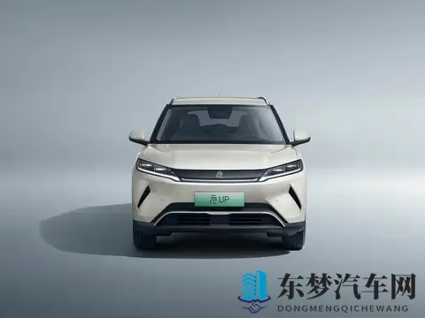 10万预算买纯电车，这五款“销量王”值得一看！-3