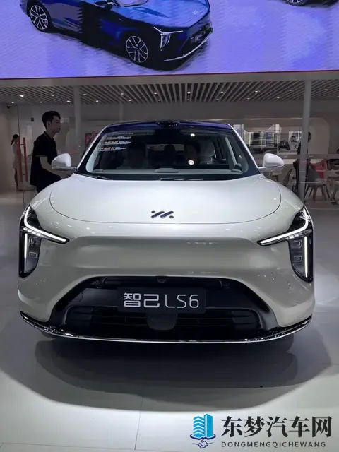 智己LS6车主:大电池长续航带后轮转向,这车性价比是真的高-2