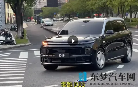 D19正式亮相!网友:只要价格合适,全都不是对手-1