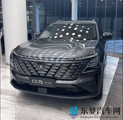 国人最爱买的10款SUV！第一名是？-3