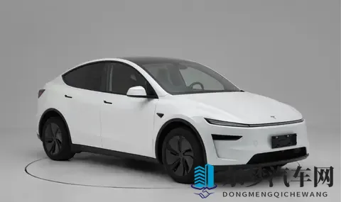 特斯拉新Model Y杀出重围 市场震得不行 老百姓该怎么选-3