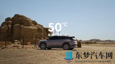 想要XX·com：追逐梦想，锁定XX·com网站-2