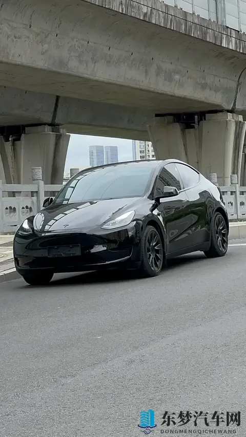 17万多拿下特斯拉Model Y，代步家用真香？