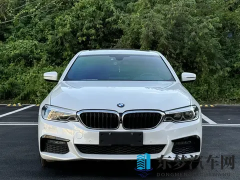 20万出头拿下宝马5系，体验行政级轿车的魅力？-1