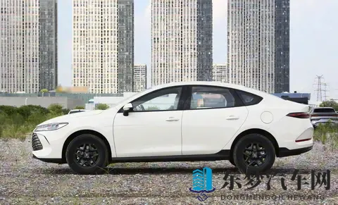 秦PLUS不香了！-1