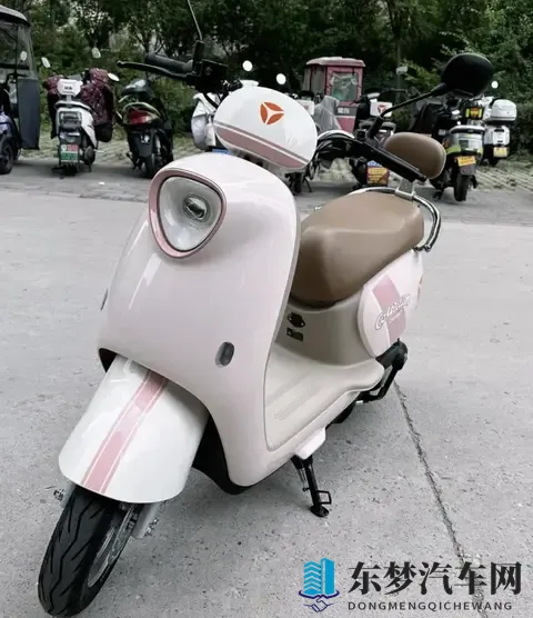 电动车选购指南：车型与电池怎么选？告别选择纠结-3