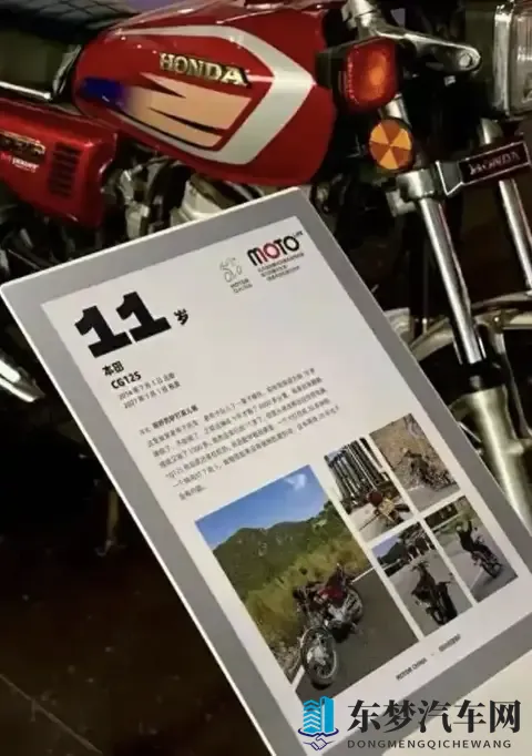 五十路完熟：汽车新贵：揭秘高性能与环保新标杆-2