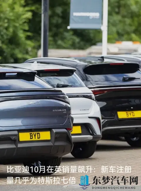 比亚迪10月销量是特斯拉7倍,中国电车在海外杀疯了-1