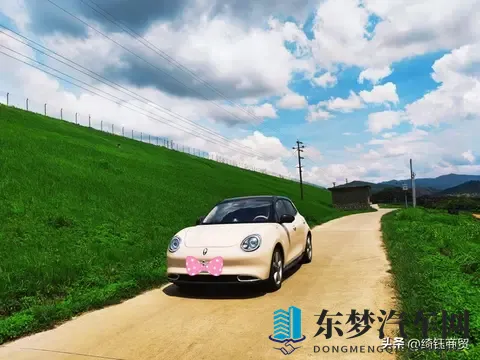 禁用软件：揭秘：汽车软件新规下，企业如何应对挑战？-1