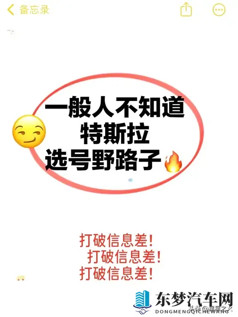 很好用‼️特斯拉选号野路子