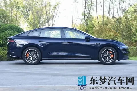 赛那豪华七座全球优选-1