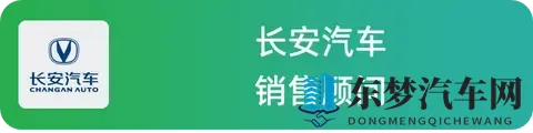 国产燃油车卖得怎么样？5位销售一起聊聊实际情况-2
