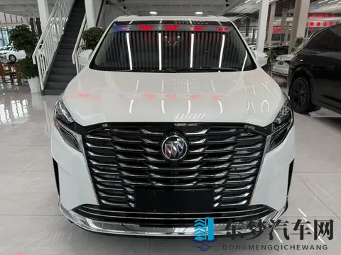 宜商宜家好选择，准新一手别克GL8陆尊-2