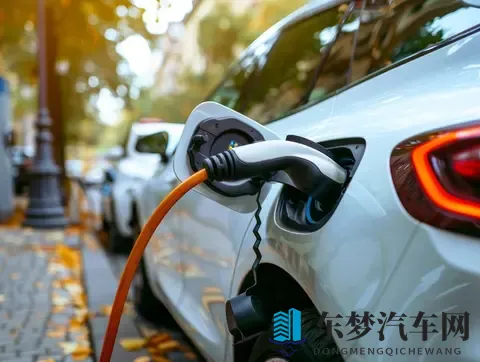 固态电池即将量产，现在的数千万新能源车主，会成为韭菜？-2