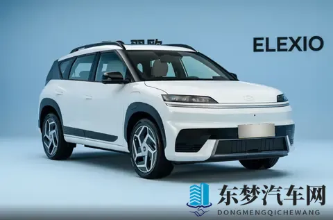 科技感与实用性平衡，1198万起，EO羿欧值得选？-3