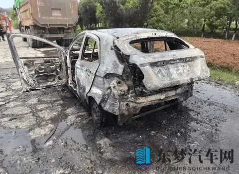 长见识了！新能源汽车在服务区被雷电击中，车顶铁皮烧融，有熔点-3