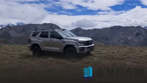 全新坦克400上市，4种动力挑花眼，具体应该怎么选？-2