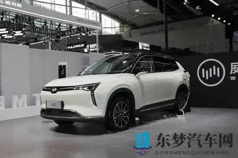 威马汽车App重新上线！