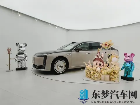 厦门尊享会：尊界s800护底板升级-2