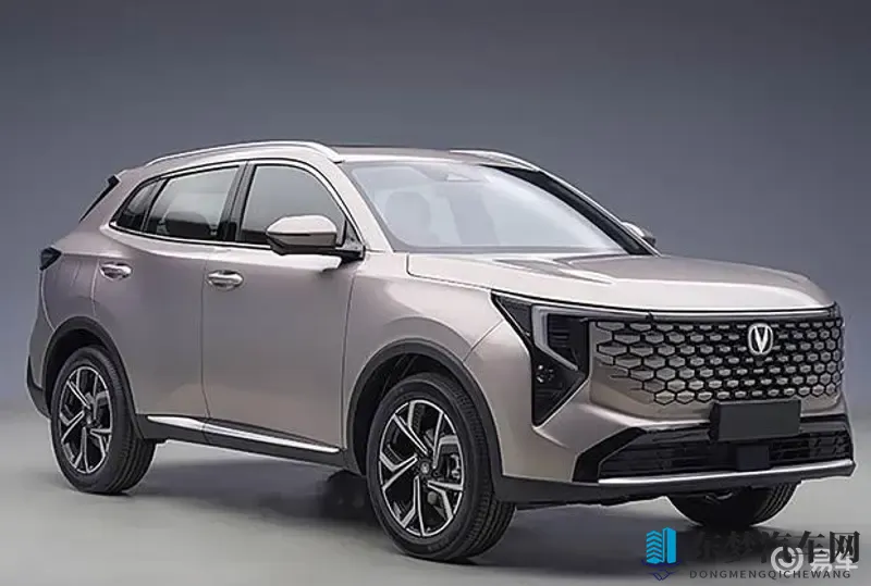 天天干干天天：每日忙碌不停歇，生活节奏快如飞