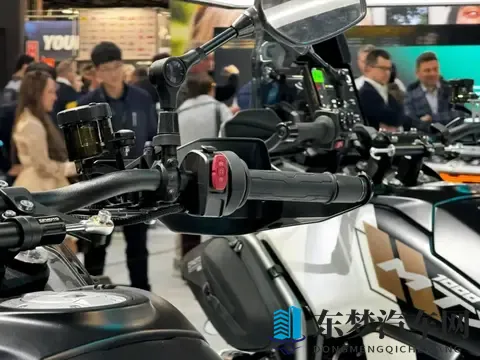 女生奖励自己的素材软件：女性专属灵感资源库