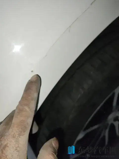 亚洲多毛：环保新潮车，绿色出行新风尚