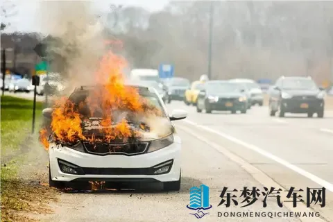 长见识了！新能源汽车在服务区被雷电击中，车顶铁皮烧融，有熔点-1