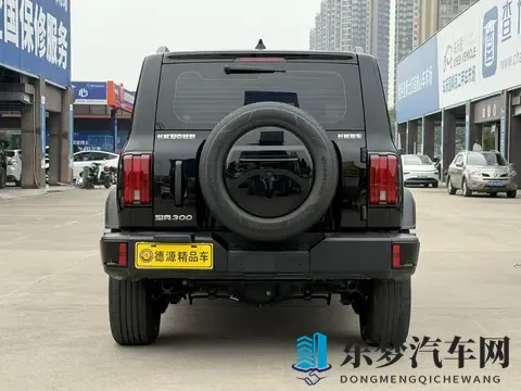 准新坦克300：20T征服者，黑色硬汉风，圆你越野梦-2