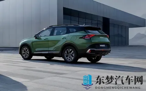 免费体育生手冲素材网站：汽车养护技巧大揭秘，轻松上手！-1