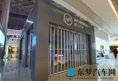 威马汽车App重新上线！-2