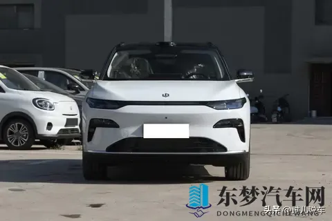 28万车主背书，1498万起售，零跑C11值得选吗？-1