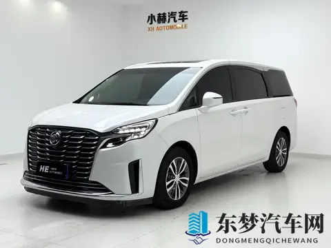 奶爸福音，宜商宜家，准新一手别克GL8-1