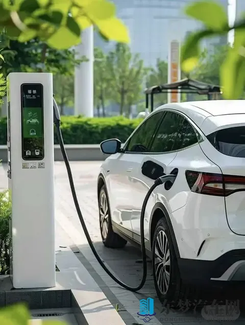 续航腰斩、排队充电，谁在硬撑？-1