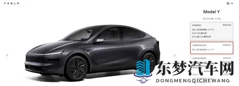 特斯拉降价，马斯克赌政策，技术暗线浮出水面