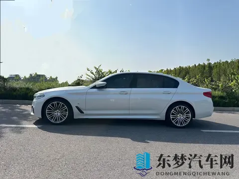 16万多拿下二手宝马5系,圆你蓝天白云梦!-2