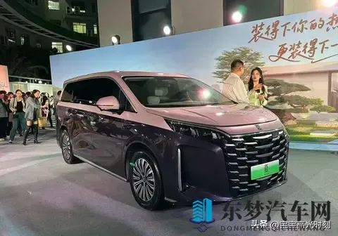 比亚迪地板价背后：车市地震里的得失与纠结-3