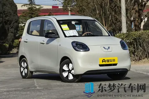 五菱宏光MINIEV选购手册-1