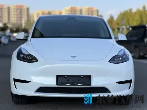 17万多入手准新特斯拉Model Y，都市代步优选