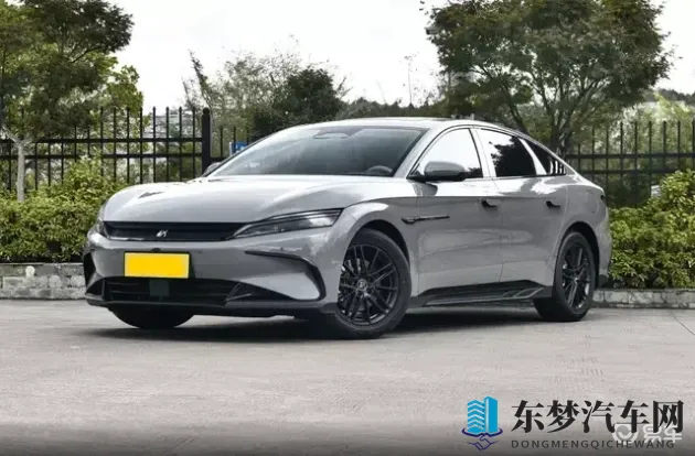 红豆2.0多功能:红豆升级版,功能全面升级版-2