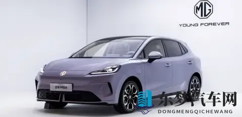 2025年前9个月爆款车型top10-2