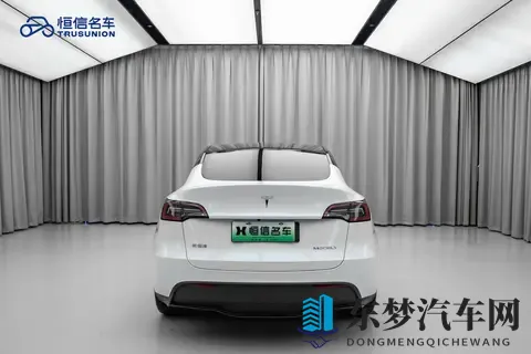 三年5万公里，省十万开走家用代步特斯拉Model Y-1