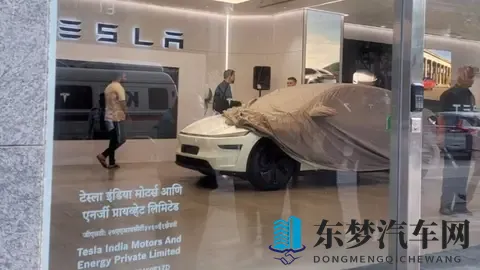 10月印度电动车销量，MG名爵 4,525辆，比亚迪565辆，特斯拉40辆-2